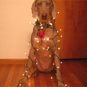 arr_2002_dec