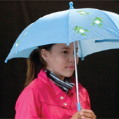 arr_2009_juni